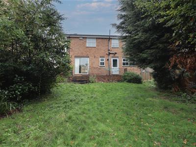 Picture 27